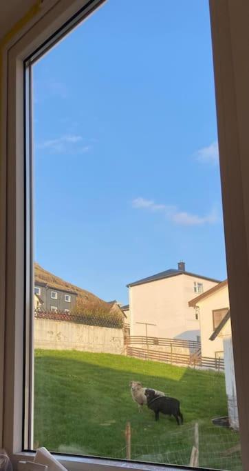 Cozy Apartment In Klaksvík Εξωτερικό φωτογραφία